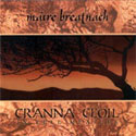 Maire Breatnach  - Cranna Ceoil / In Full Measure